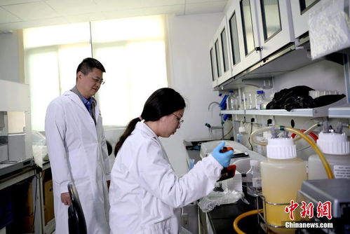 中國首個國產(chǎn)HPV疫苗正式上市 工程和技術研究與試驗發(fā)展的里程碑